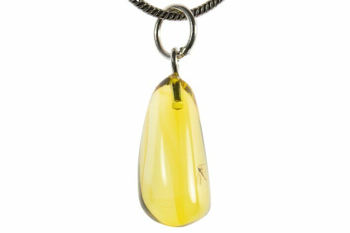 Polished Baltic Amber Pendant (Necklace) - Contains Fly! #339574